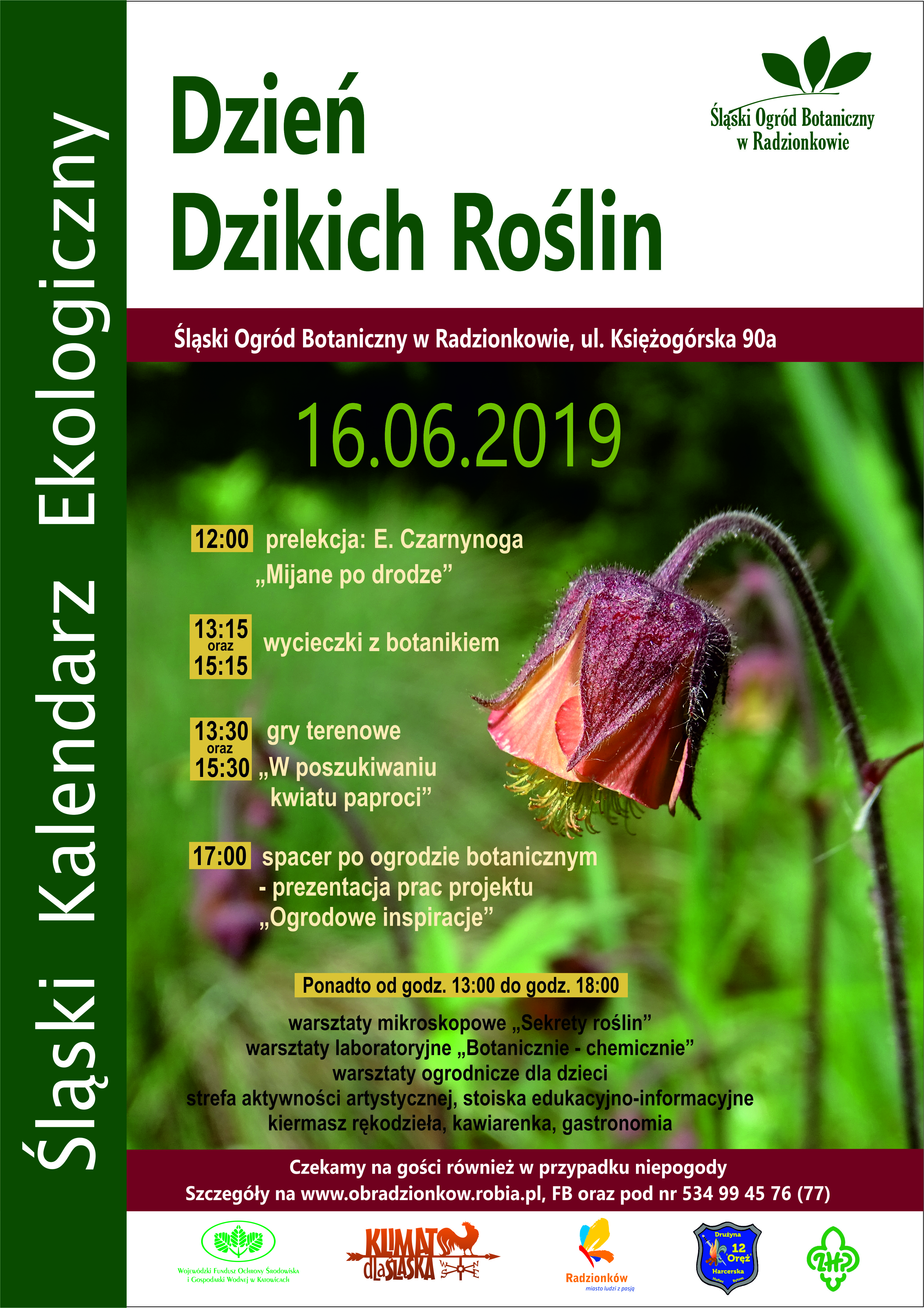 Plakat "Dzień dzikich roślin"