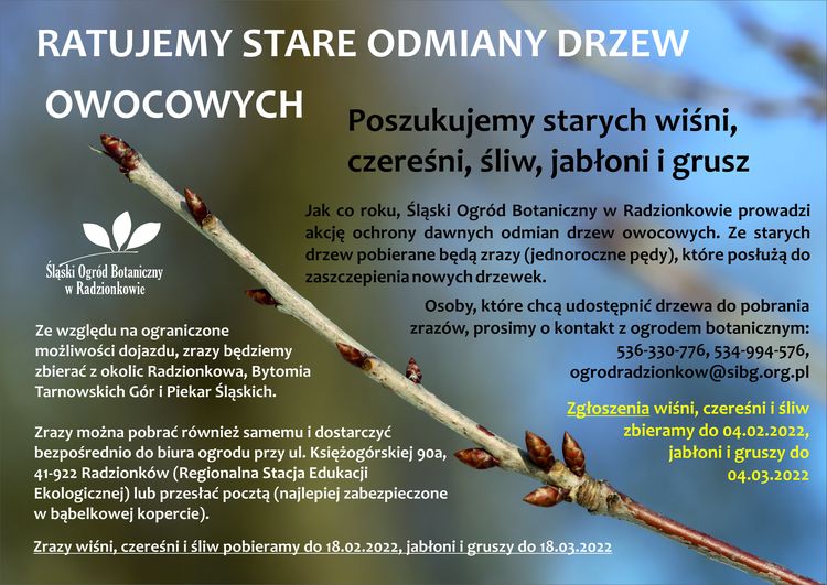 Plakat ratujemy stare odmiany drzew owocowych