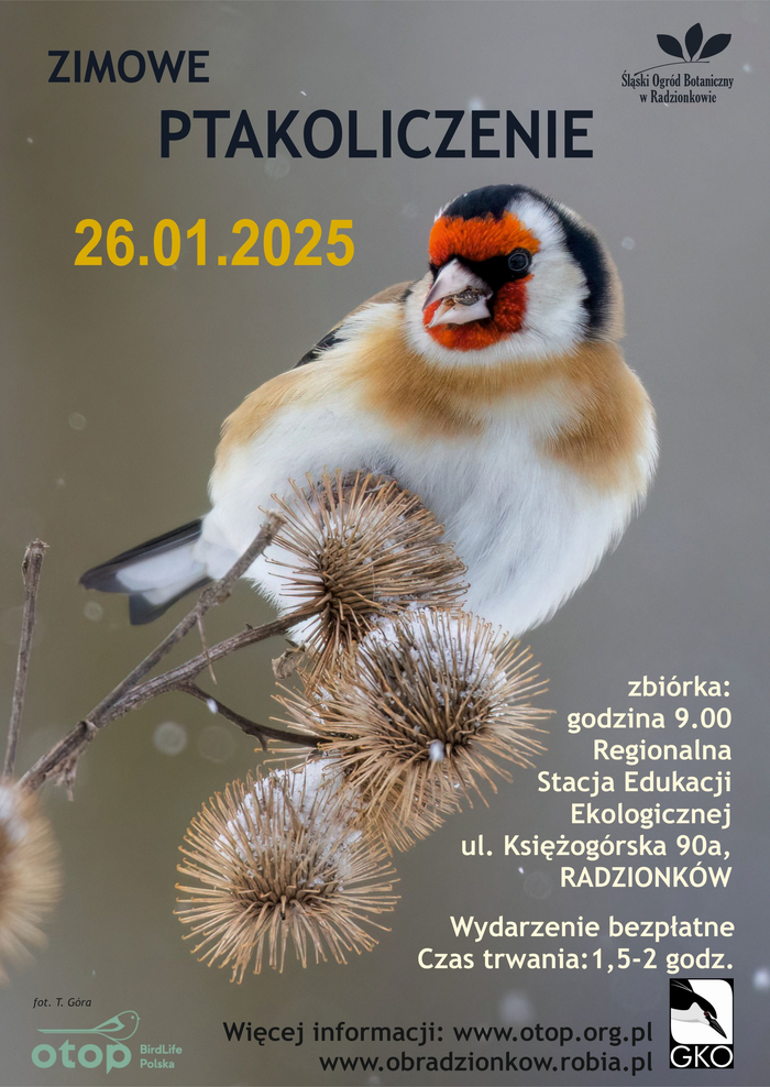 Plakat informacyjny o wydarzeniu "Zimowe ptakoliczenie"